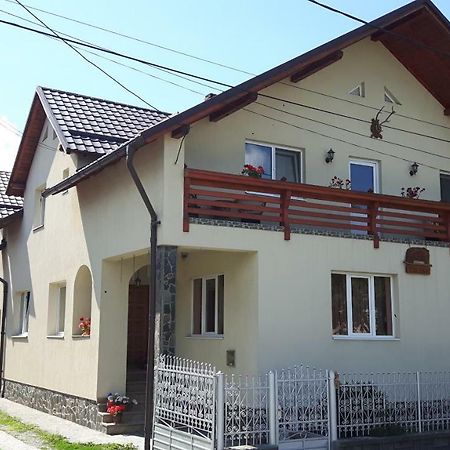 Pensiunea Casa Stet Toader Iulian Săpînţa Esterno foto